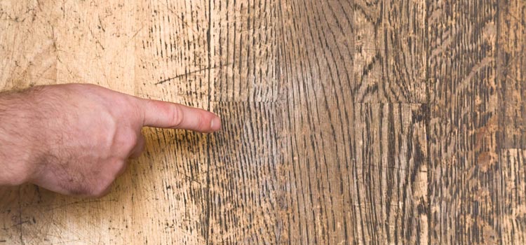 Wood Door Scratch Repair in Niagara-on-the-Lake